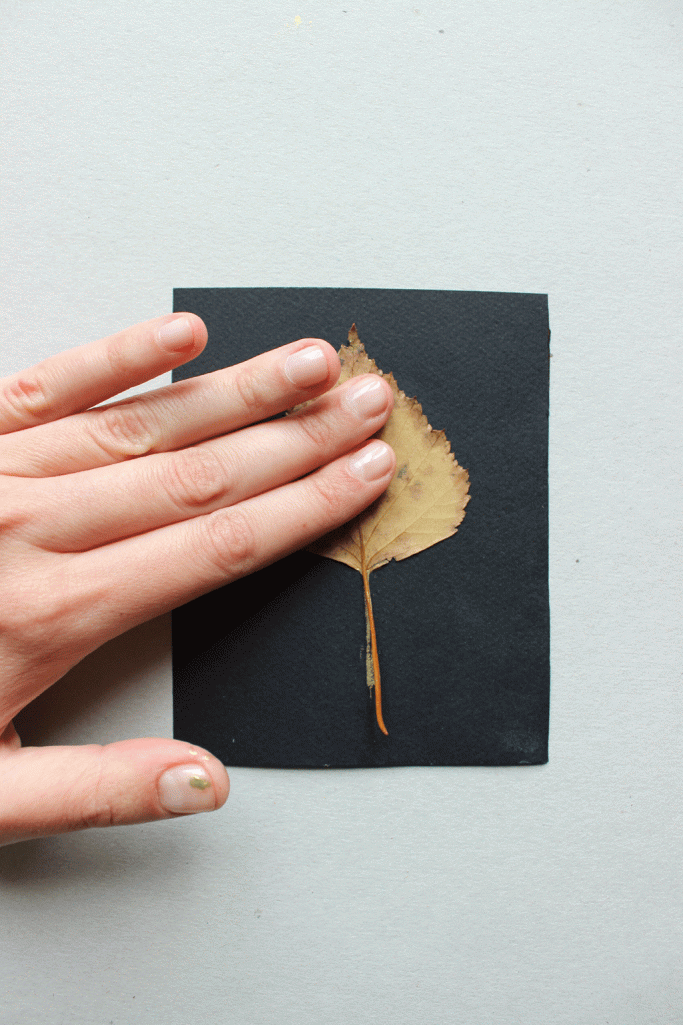 stampa con le foglie