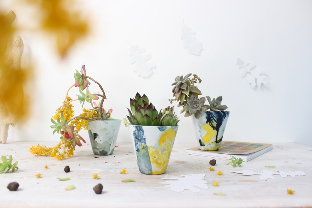 creare un angolo verde con piante grasse in casa